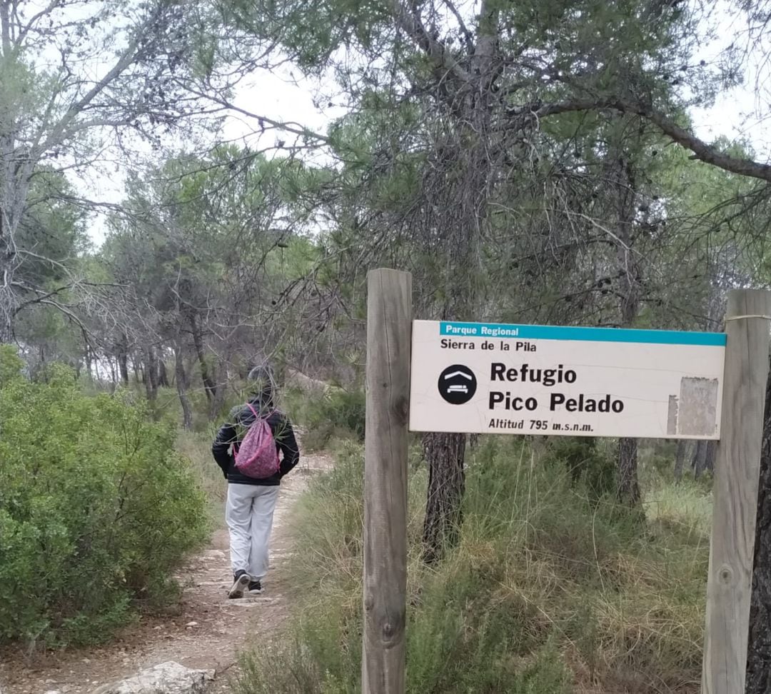 Sendero Refugio Pico Pelado