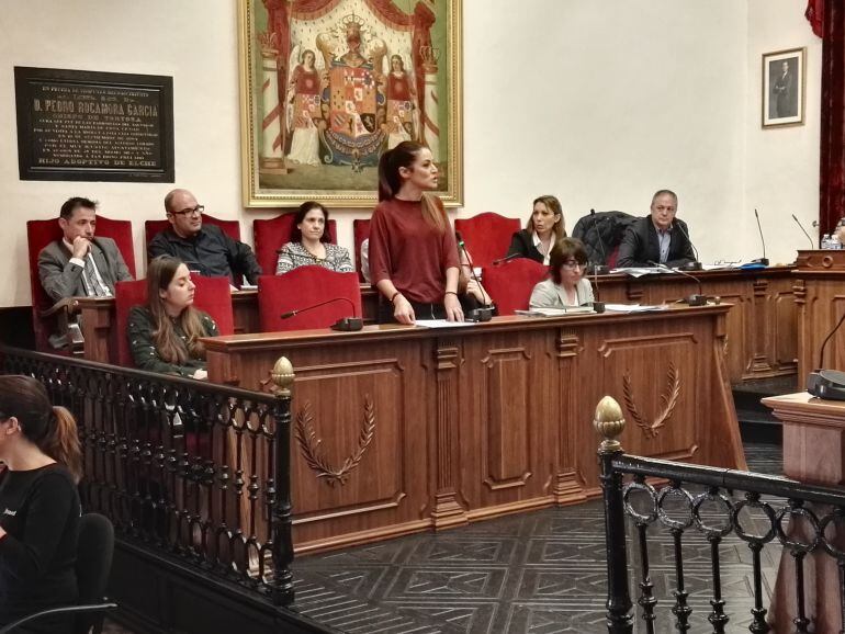 Un momento del pleno de esta mañana