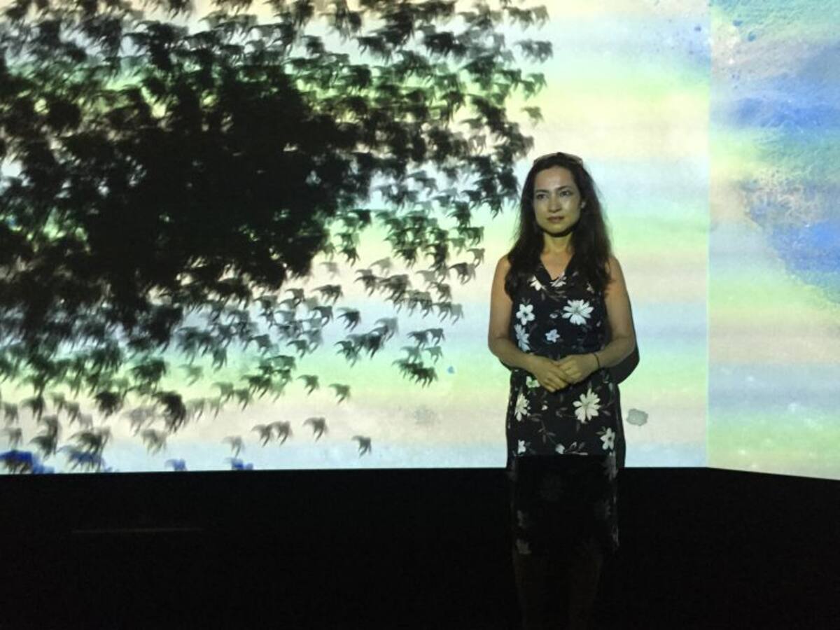 “Paralaje”, nueva videoinstalación