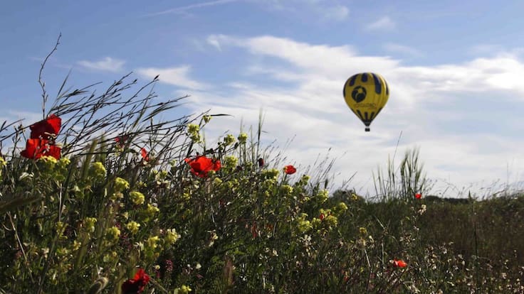 Ser Viajeros Comunitat Valenciana (11-04-2020)