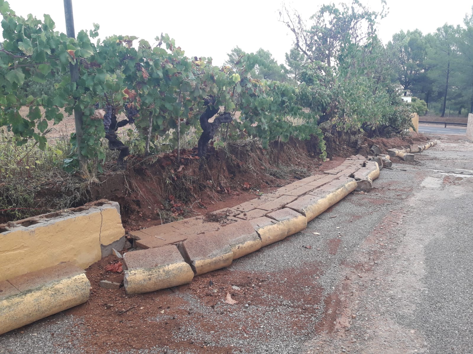 Imagen de los efectos de la lluvia en santa Gertrudis