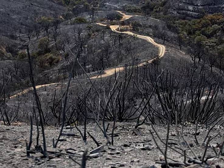 Incendio Sierra Bermeja(archivo)