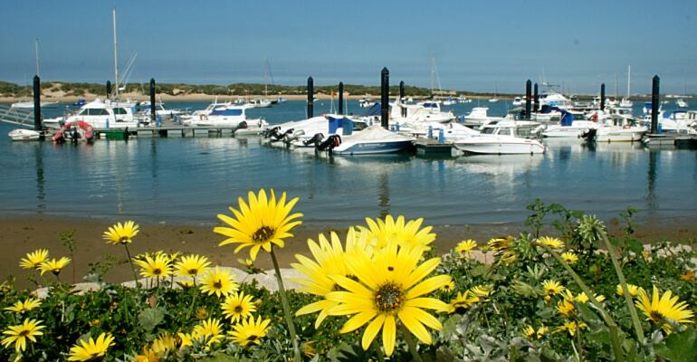 El atracadero de Sancti Petri desde el paseo marítimo