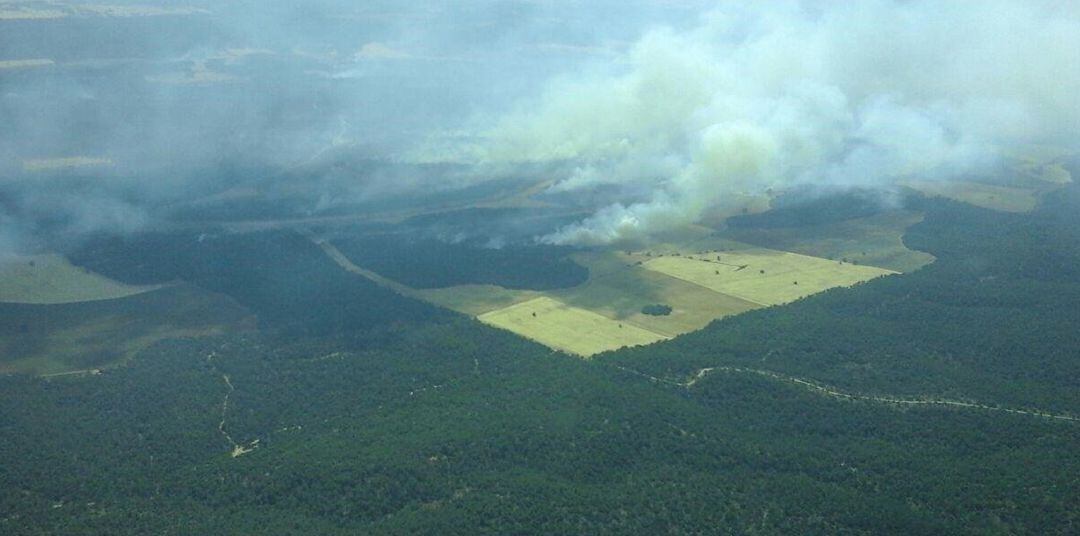 El incendio de Barchín del Hoyo (Cuenca) ha afectado a cerca de 2.000 hectáreas.