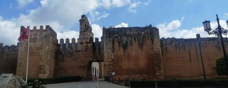 Muralla del Castillo de los Guzmanes de Niebla (Huelva)