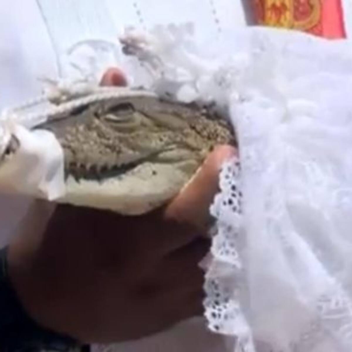 Un alcalde mexicano se 'casa' con un cocodrilo para pedir buenas cosechas