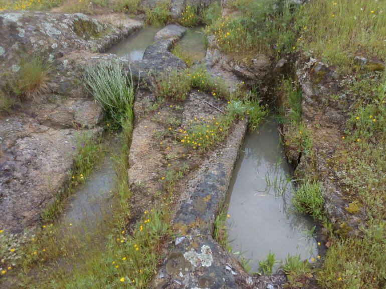 Tumbas judías plasencia Algunas de las tumbas antropomórfias del cementerio judío de Plasencia llenas de agua de lluvia y hierbas