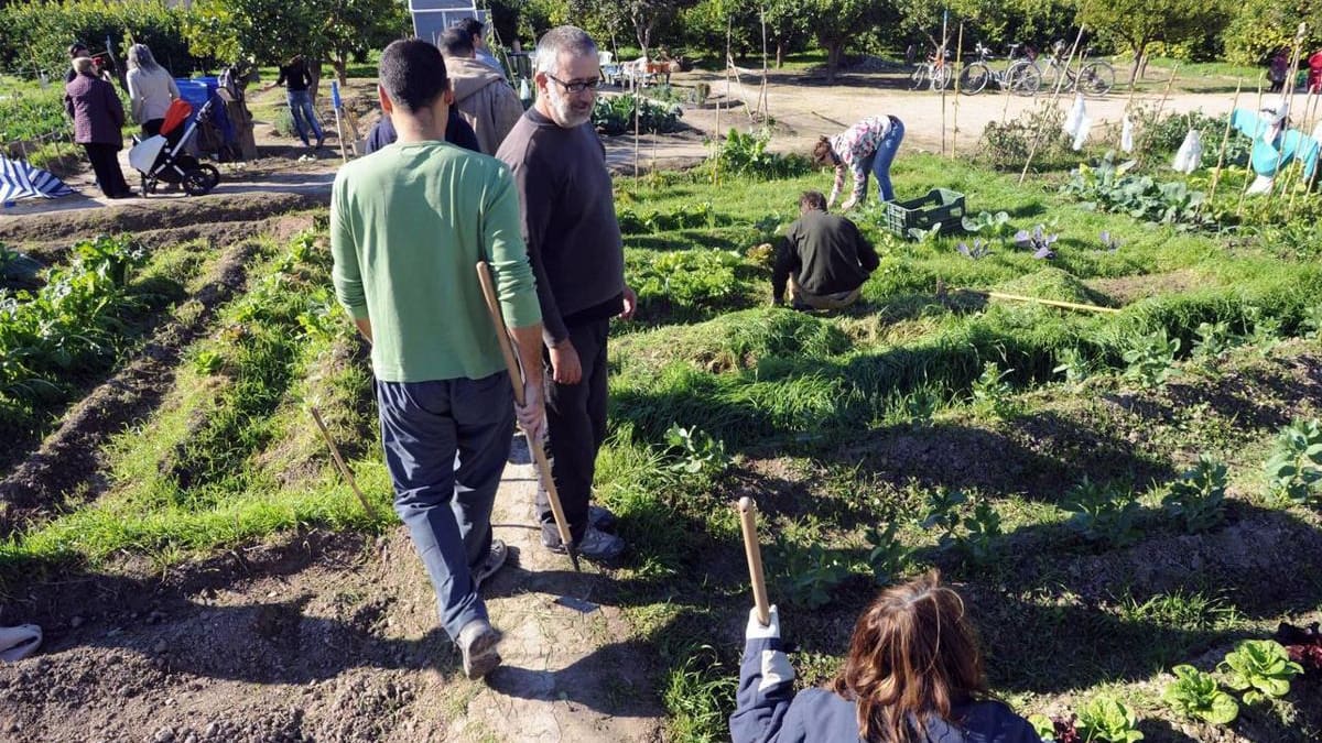 Entrevista a Antonio Navarro, concejal de Planificación Urbanística, Huerta y Medio Ambiente