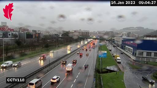 Recomiendan precaución en carreteras por balsas de agua y caída de árboles