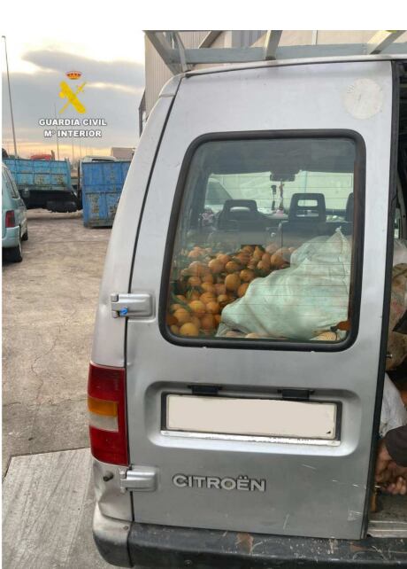 La Guardia Civil investiga a una persona que trasladaba 905 kg de naranjas en su vehículo por la localidad de Burriana