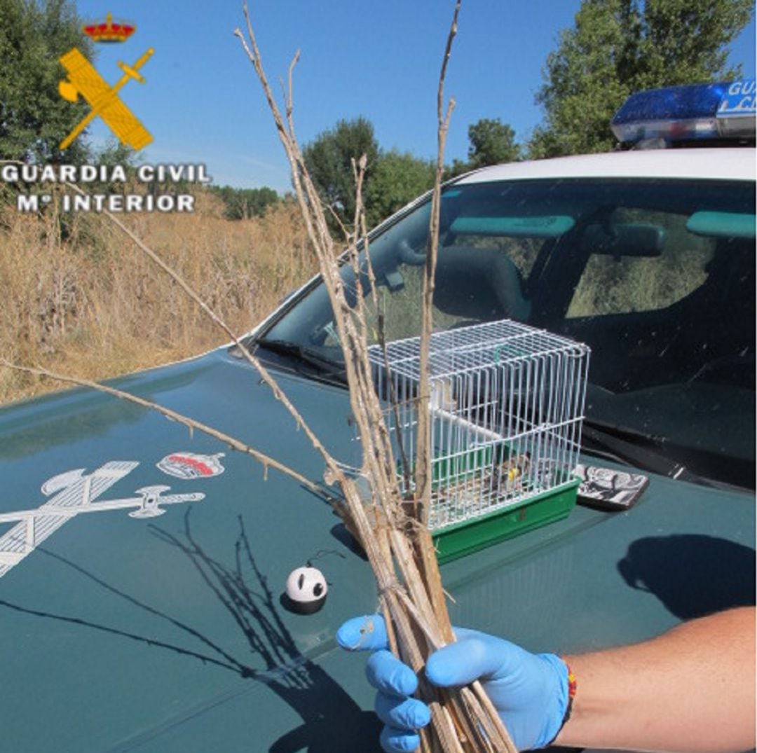 Material incautado por la Guardia Civil