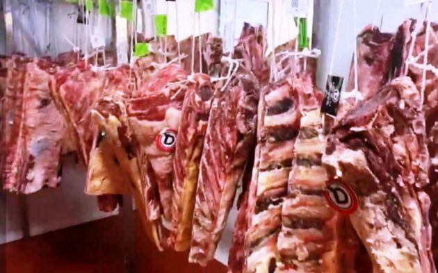 La cámara de Jupe, llena de lomos y chuleteros