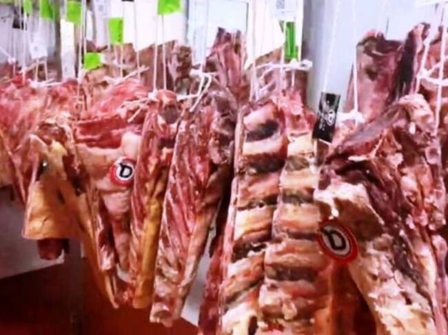 La cámara de Jupe, llena de lomos y chuleteros