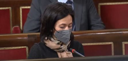 Patricia Rodríguez en la Comisión de Cultura