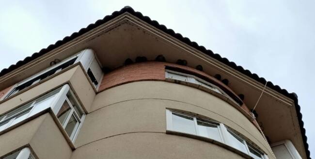 Nidos de avión común en lo alto de un bloque en Templarios