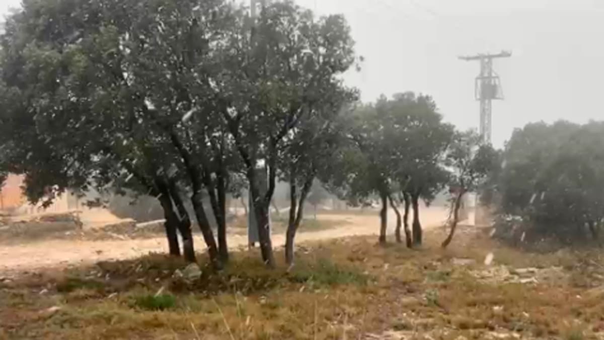 Primeros copos de nieve en las montañas de Alcoy y comarca