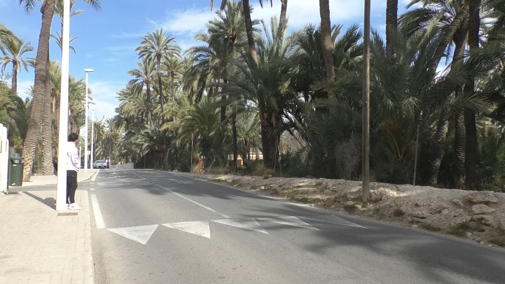 Calle Curtidores Elche