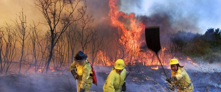 Tras la reforma, con carácter excepcional, las comunidades autónomas podrán acordar el cambio de uso de los terrenos afectados.