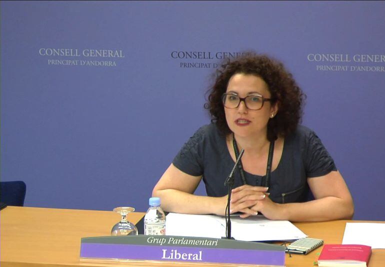 La consellera del Grup Parlamentari Liberal, Judith Pallarès, denunciant aquest matí els problemes per accedir a la informació sol·licitada en la seva tasca de control parlamentari.
