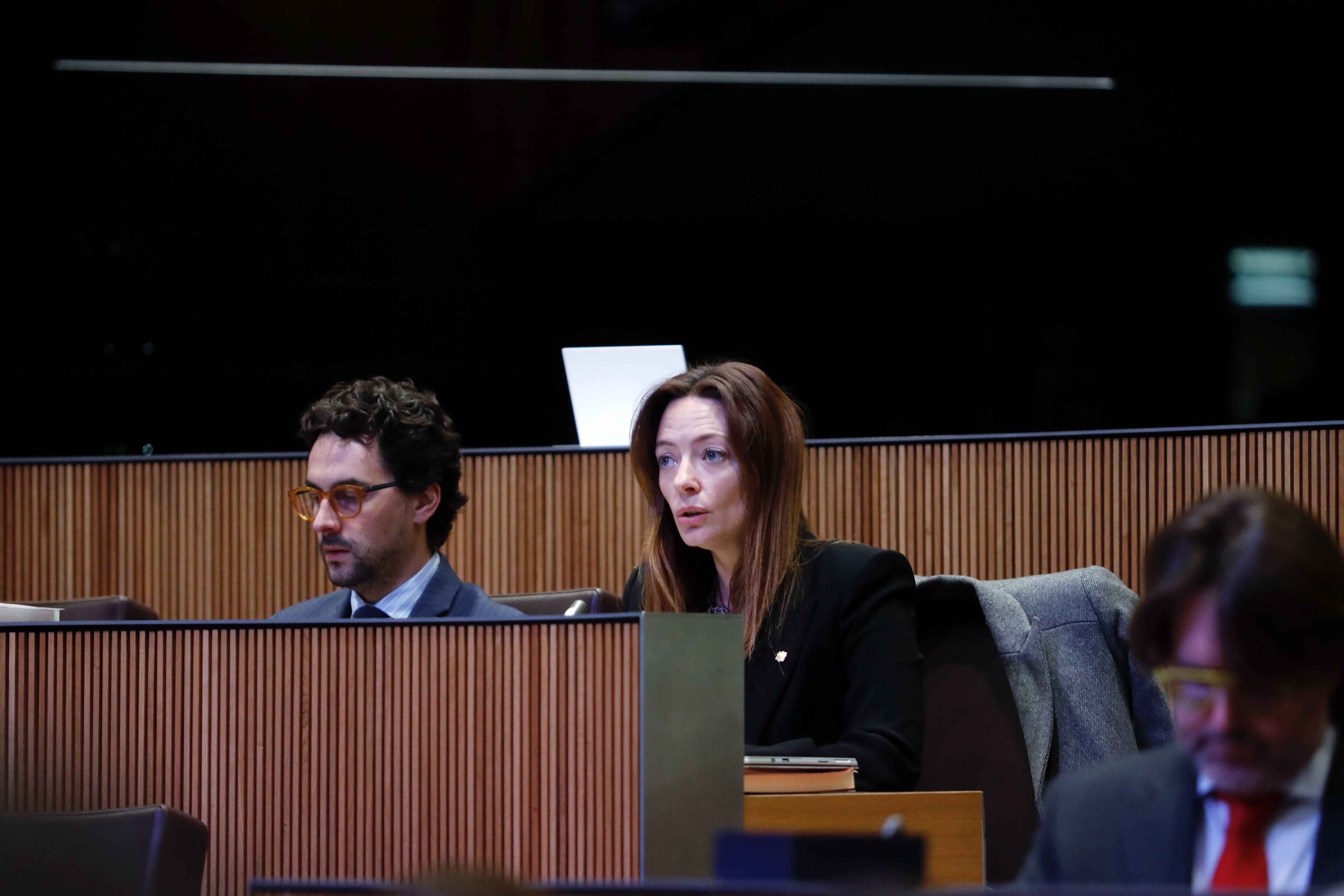 La ministra de Salut, Helena Mas