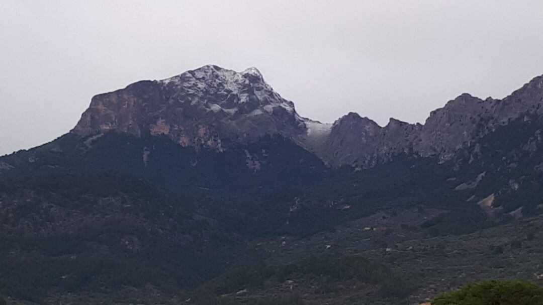 Nieve en el Puig Major. AEMET