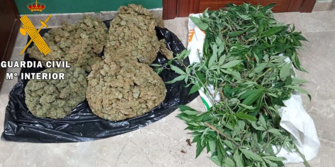 Alijo de marihuana aprehendido en Lopera.