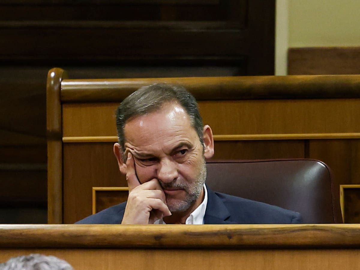 El Congreso desestima la petición de indemnización de José Luis Ábalos