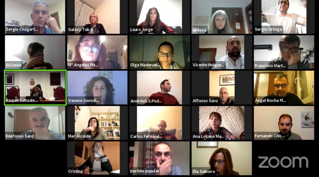 Captura de pantalla del pleno ordinario telemático