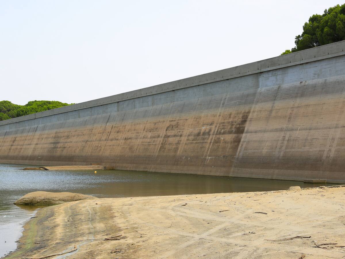 SER del Campo con David Manzanares