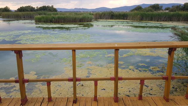 Imagen de una laguna en el Parque Nacional