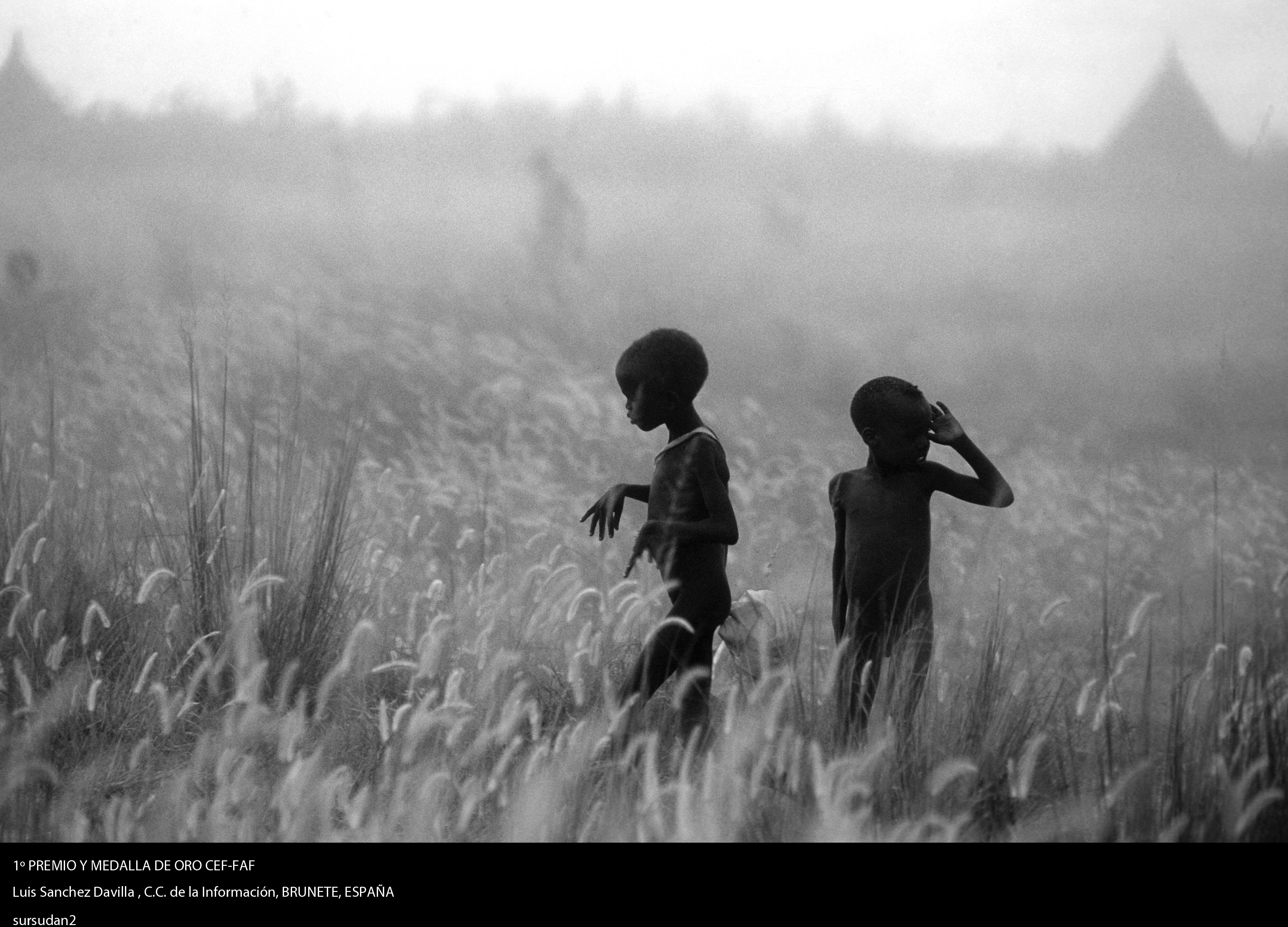 El fotógrafo mardrileño Luis Sánchez Davilla se ha alzado con el primer premio de esta edición con la fotografía 'Susurdan2'