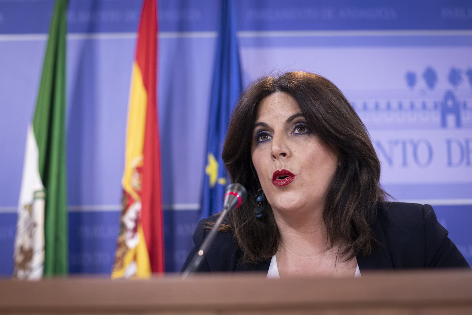 La portavoz del PSOE, Ángeles Ferriz.