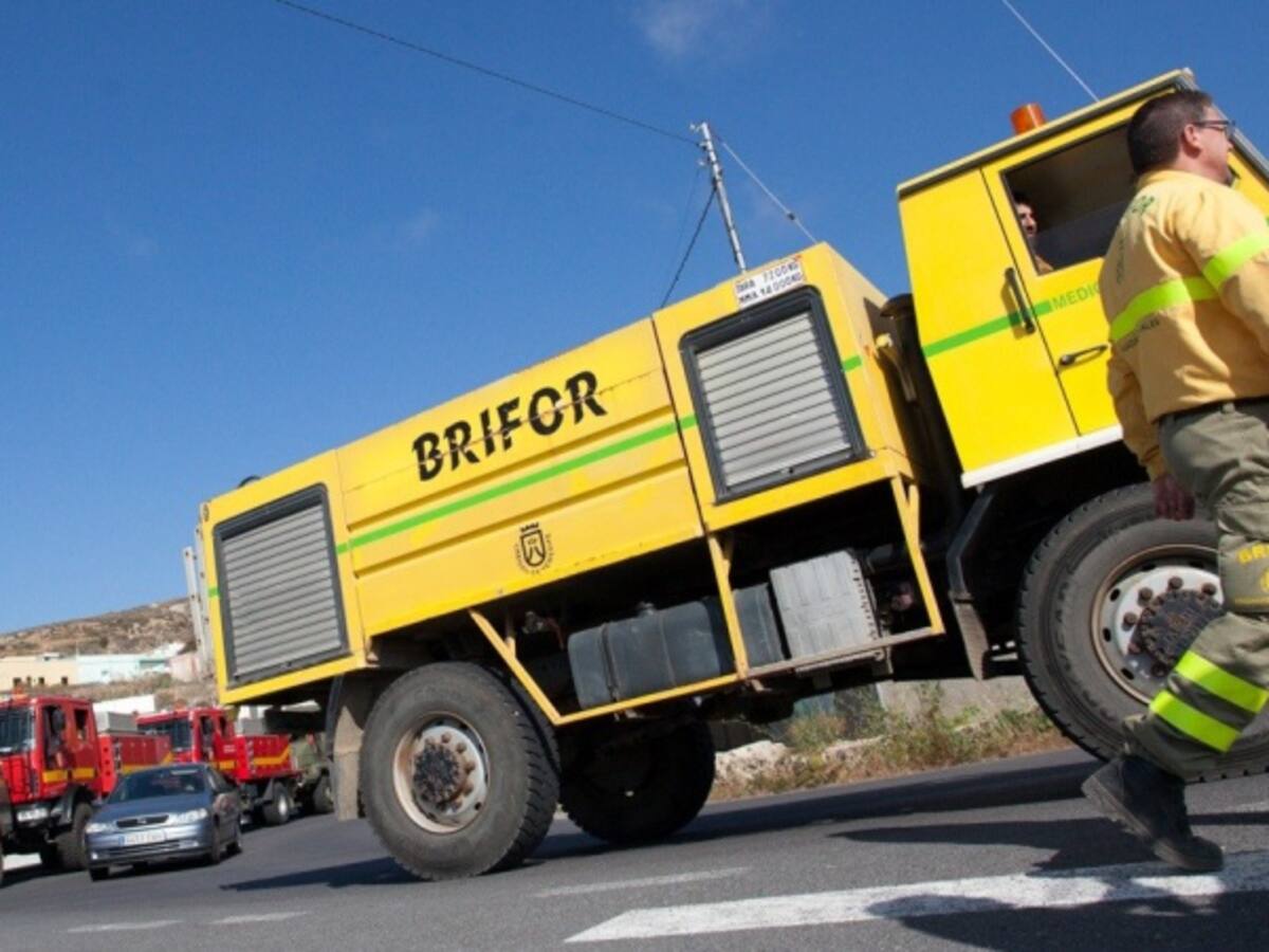 El Cabildo de Tenerife prohíbe hacer fuego en los montes desde este martes