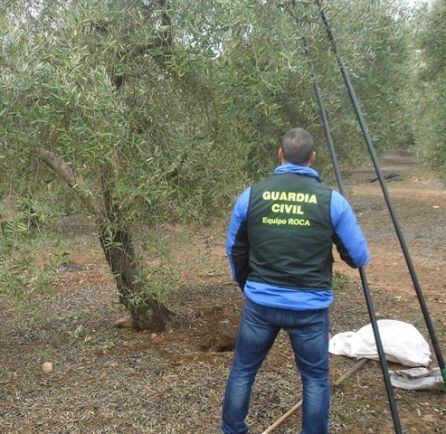 Un miembro de la Guardia Civil inspecciona una de las explotaciones donde se han producido los robos