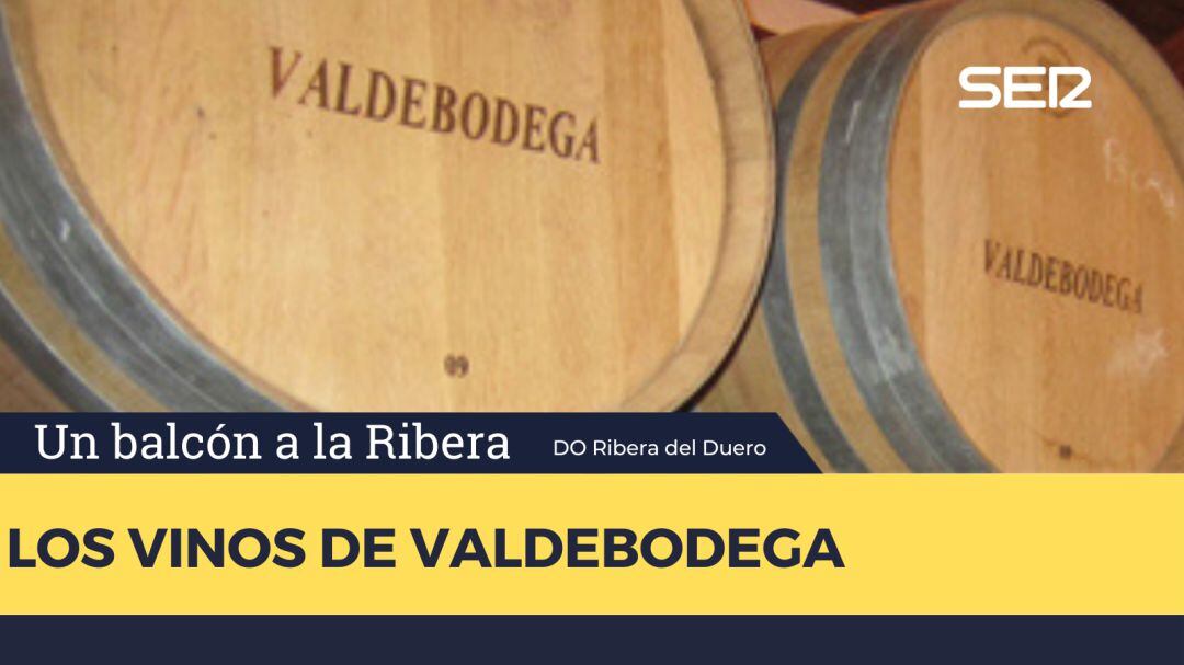 Valdebodega