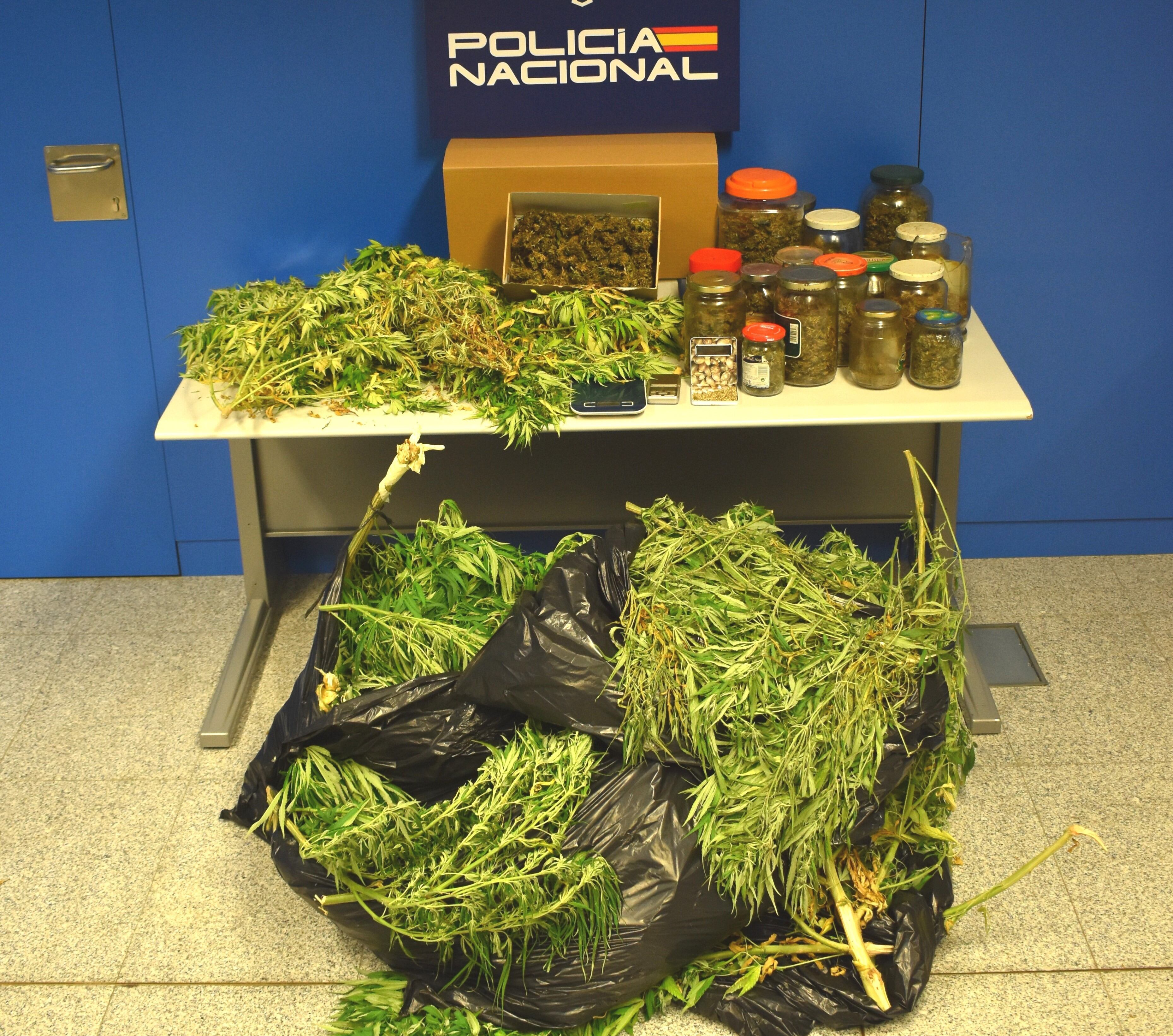 Imagen de parte de la marihuana incautada. / Foto: Policía Nacional