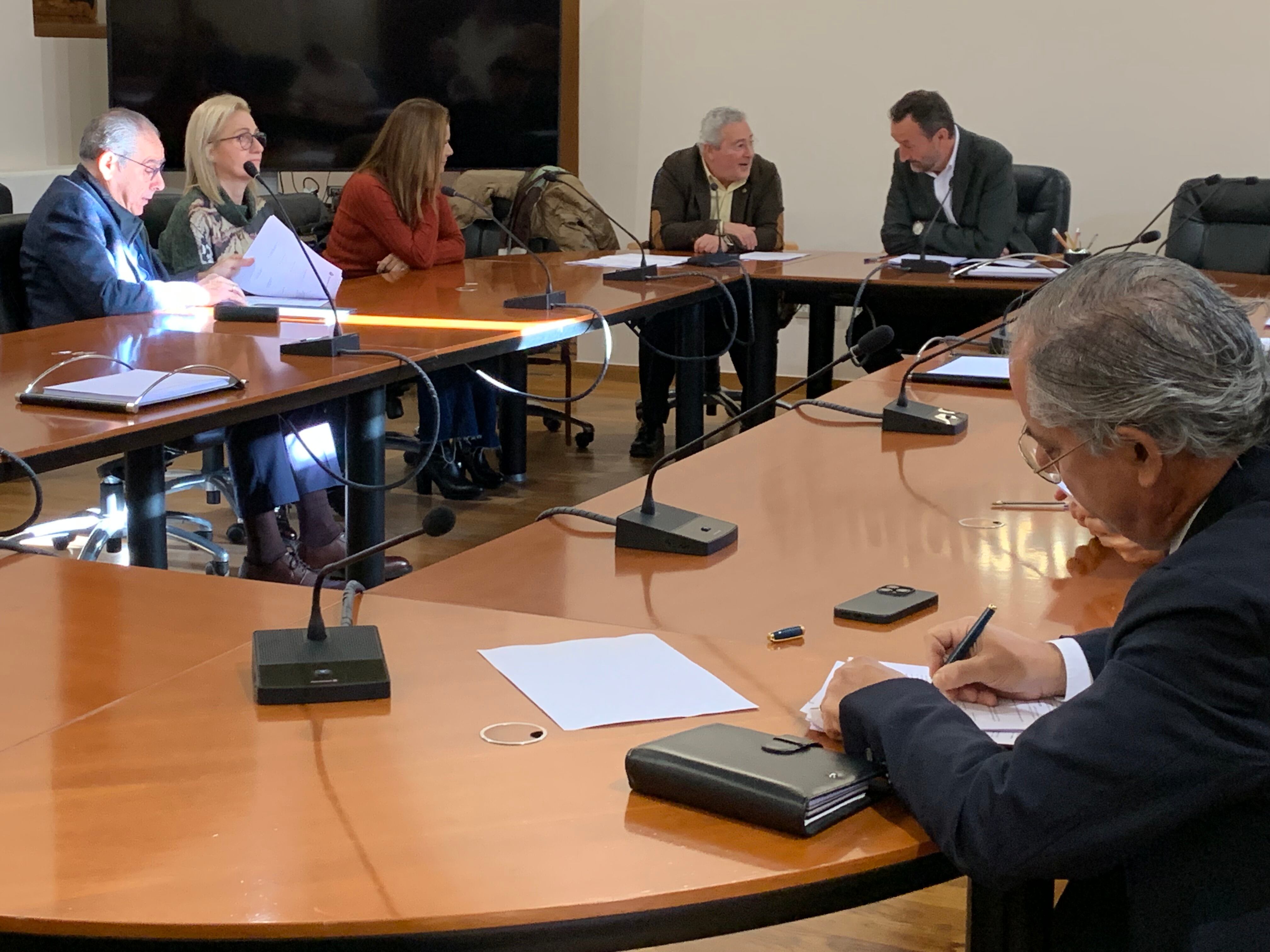 Compra terrenos Palacio Congresos