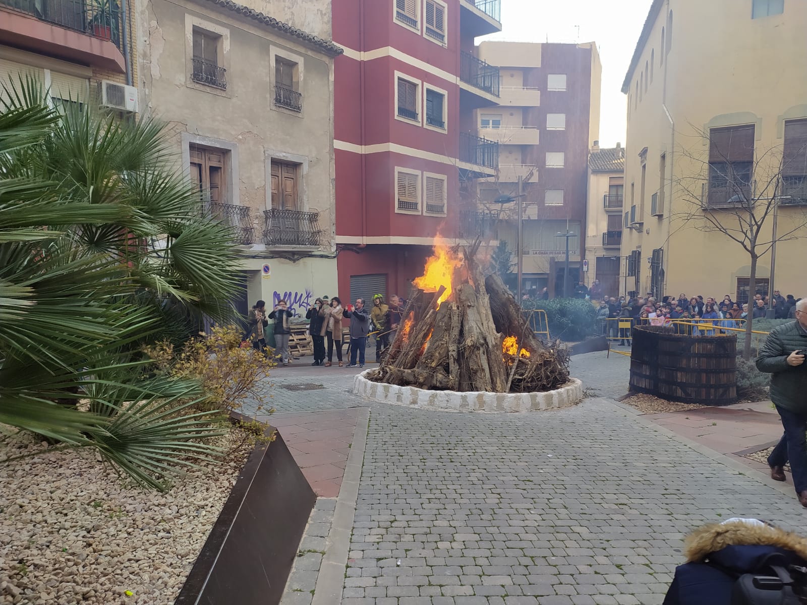 Hoguera de San Antón