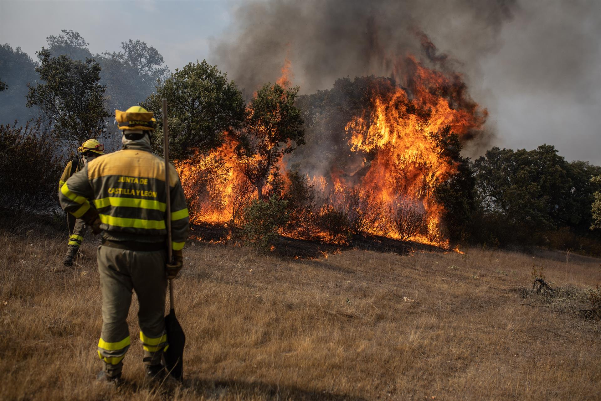 Varios efectivos trabajan en la extinción del fuego del incendio de Losacio (Zamora). - Emilio Fraile - Europa Press