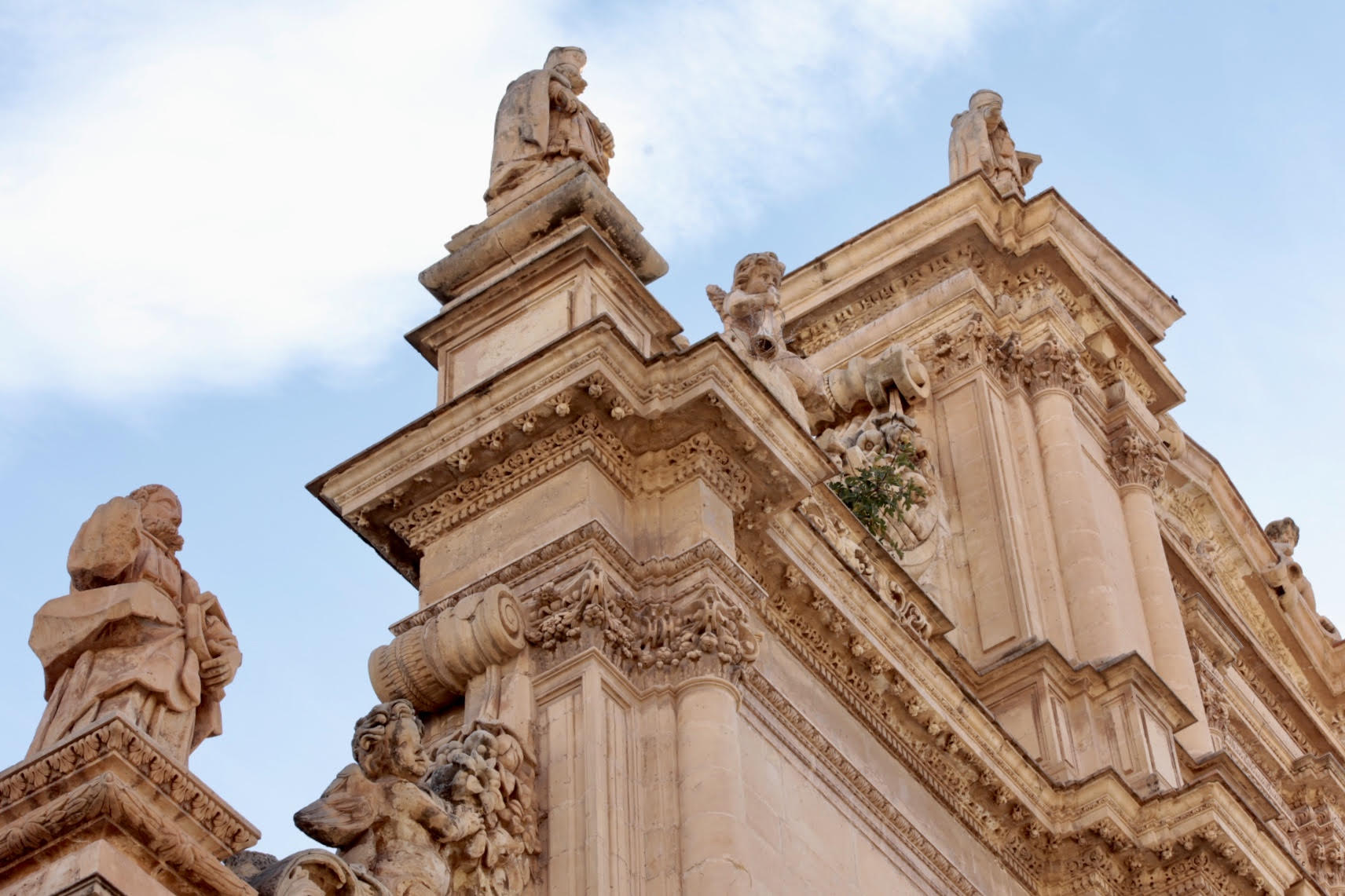 Una higuera está creciendo en una de las cornisas de la Colegiata de San Patricio de Lorca.