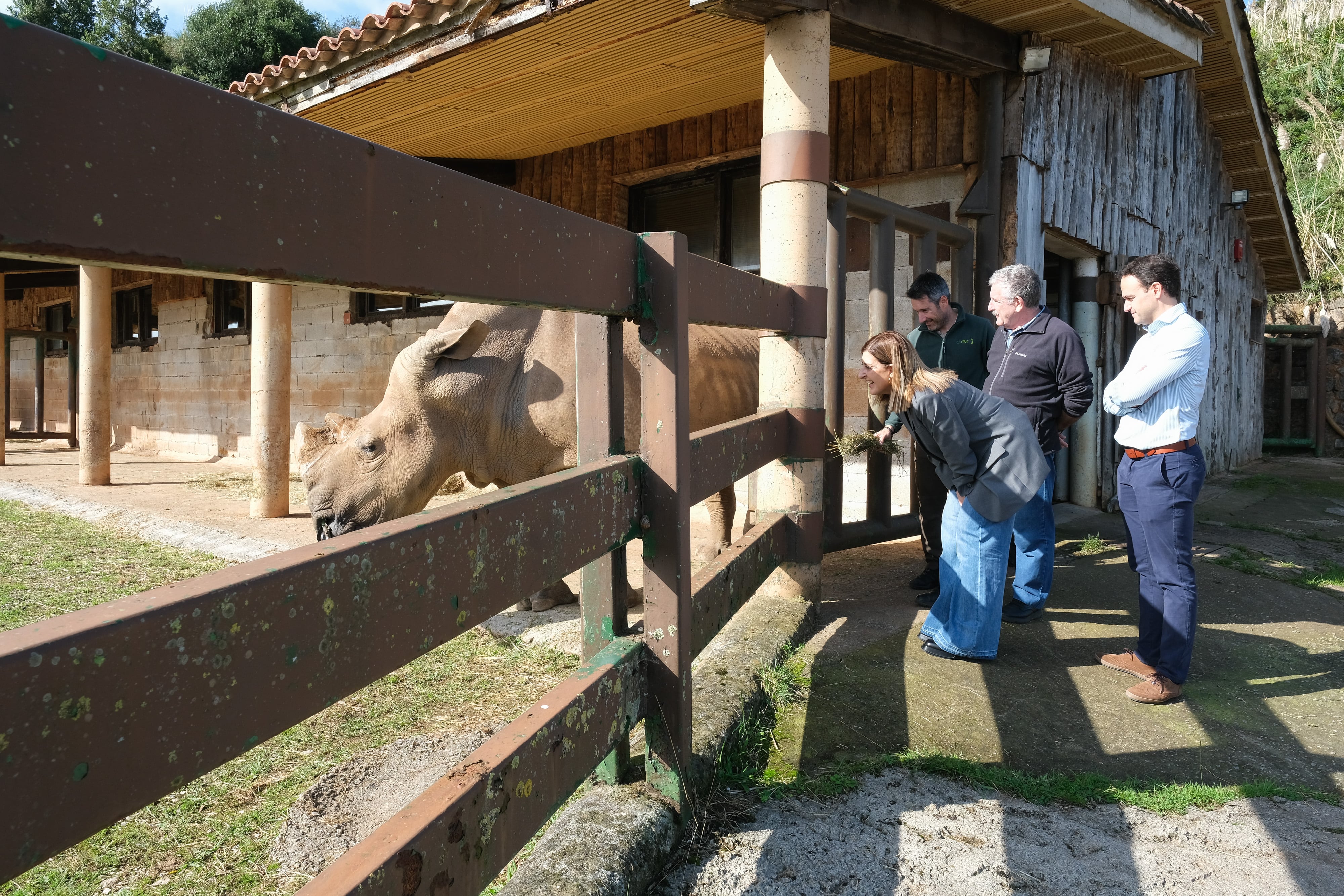 13:00 horas. Parque de la Naturaleza de Cabárceno. La presidenta de Cantabria, María José Sáenz de Buruaga, visita el recinto de rinocerontes. © Raúl Lucio