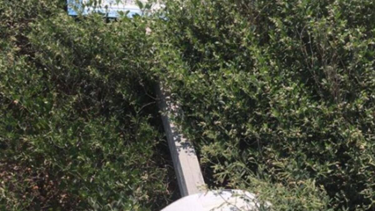 La playa canina de Aguamarga está sin acondicionar a 1 de junio