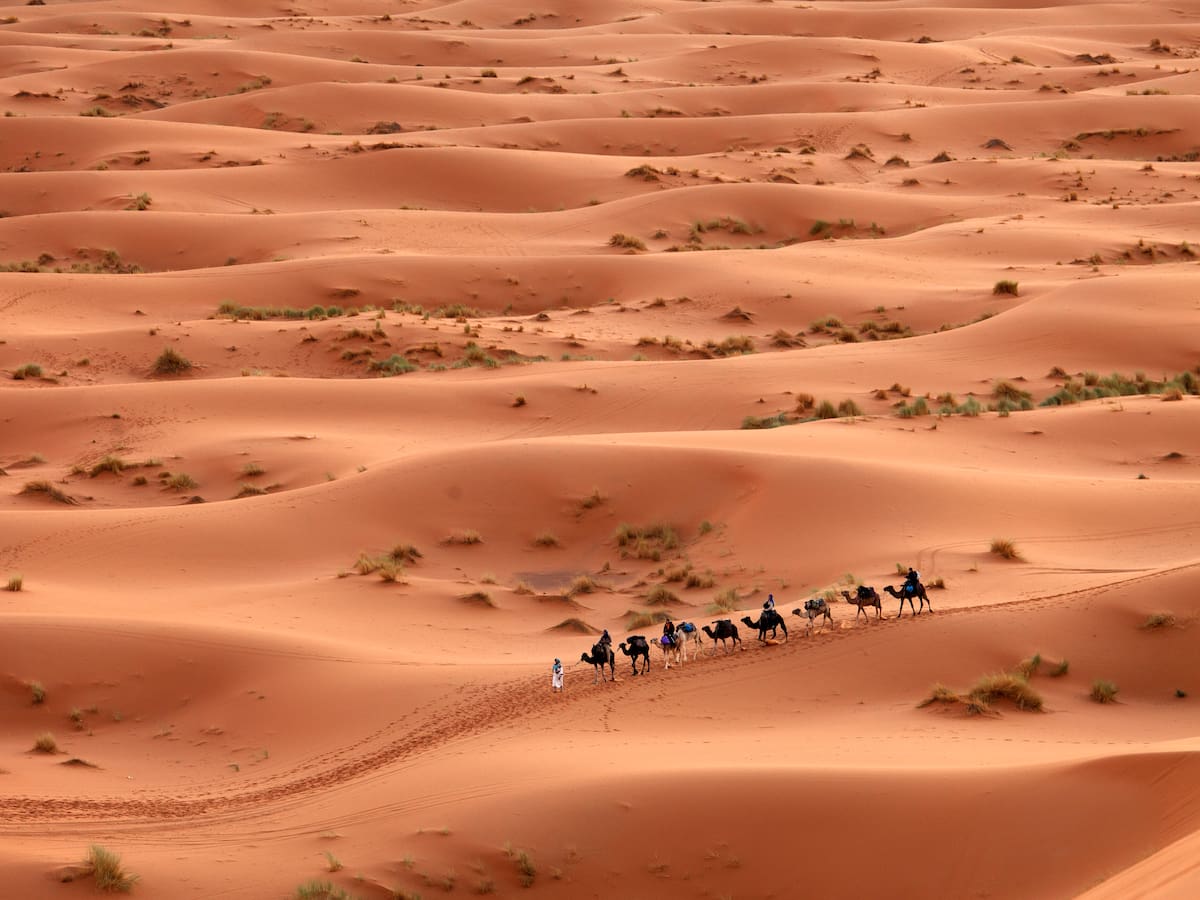 Daniel Vidal, investigador rere la descoberta de l'Spinosaurus: "hem trobat una mina d'or"