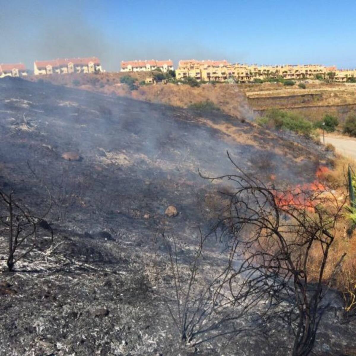Consejos para que nuestra casa sea segura ante un incendio forestal, el primer error es la presencia de arizónicas