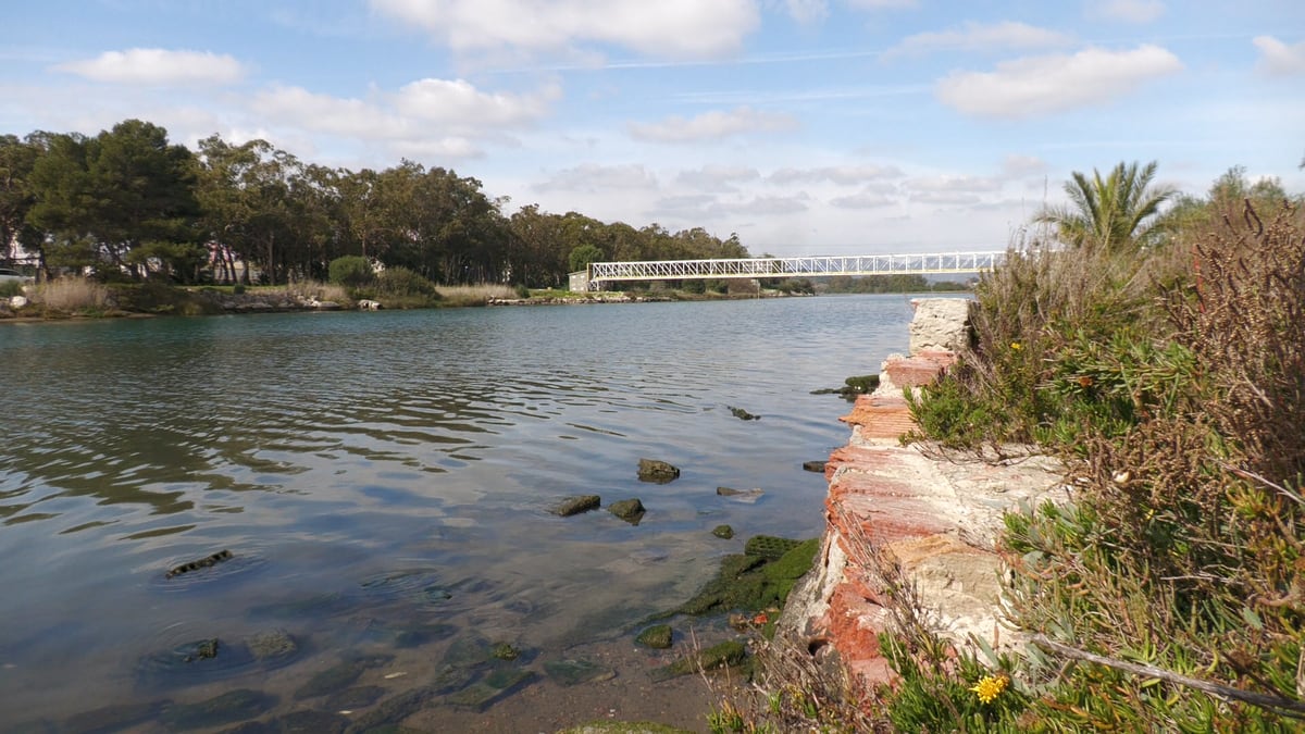 Puente de las Industrias en San Roque