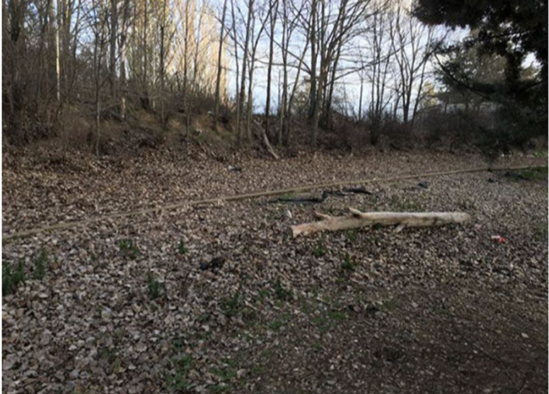 Estado en el que se encuentran algunas zonas de esparcimiento de perros en Medina