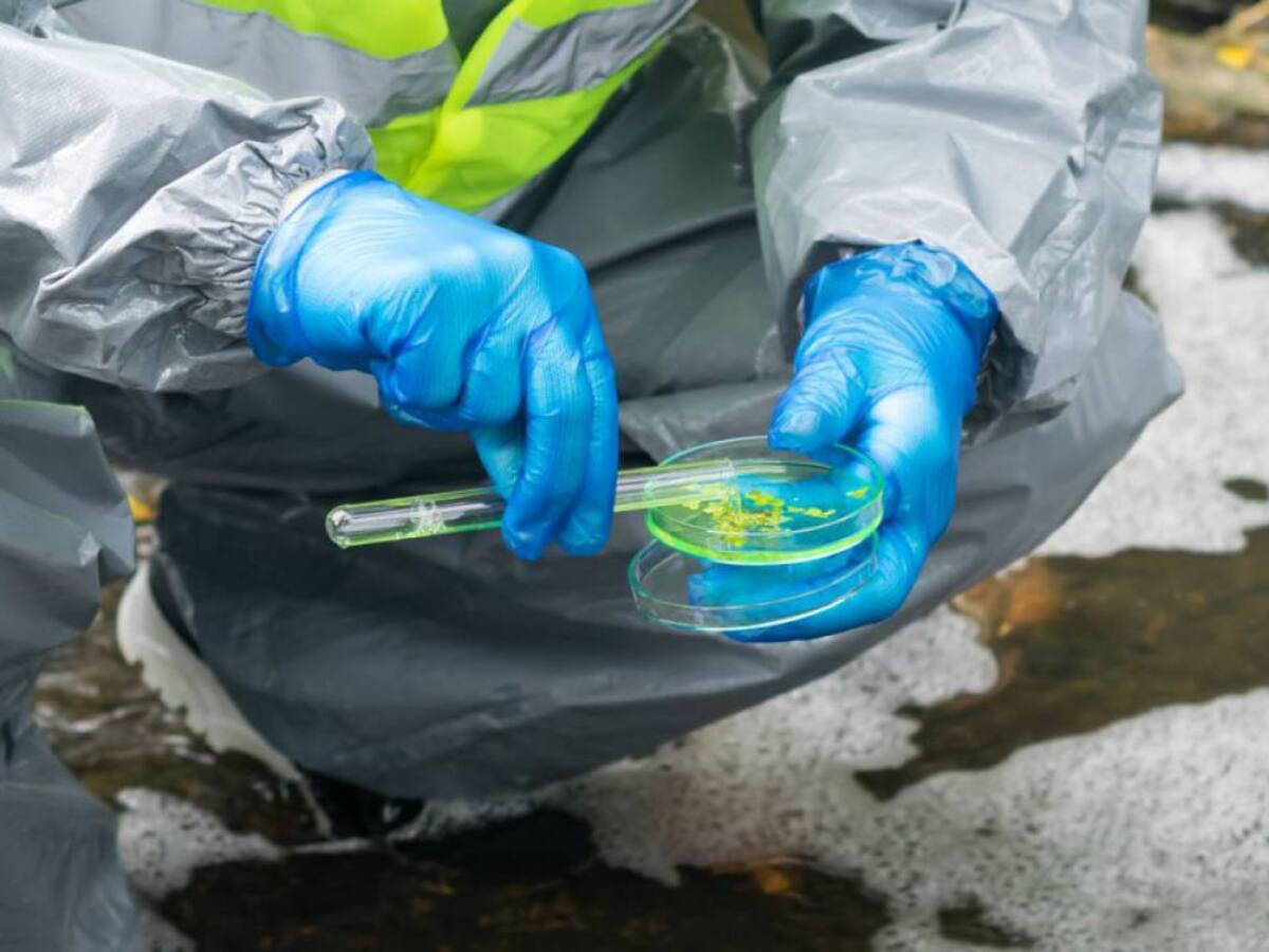 El proyecto COVID_WATER de la UJI ha permitido conocer tempranamente la incidencia del coronavirus