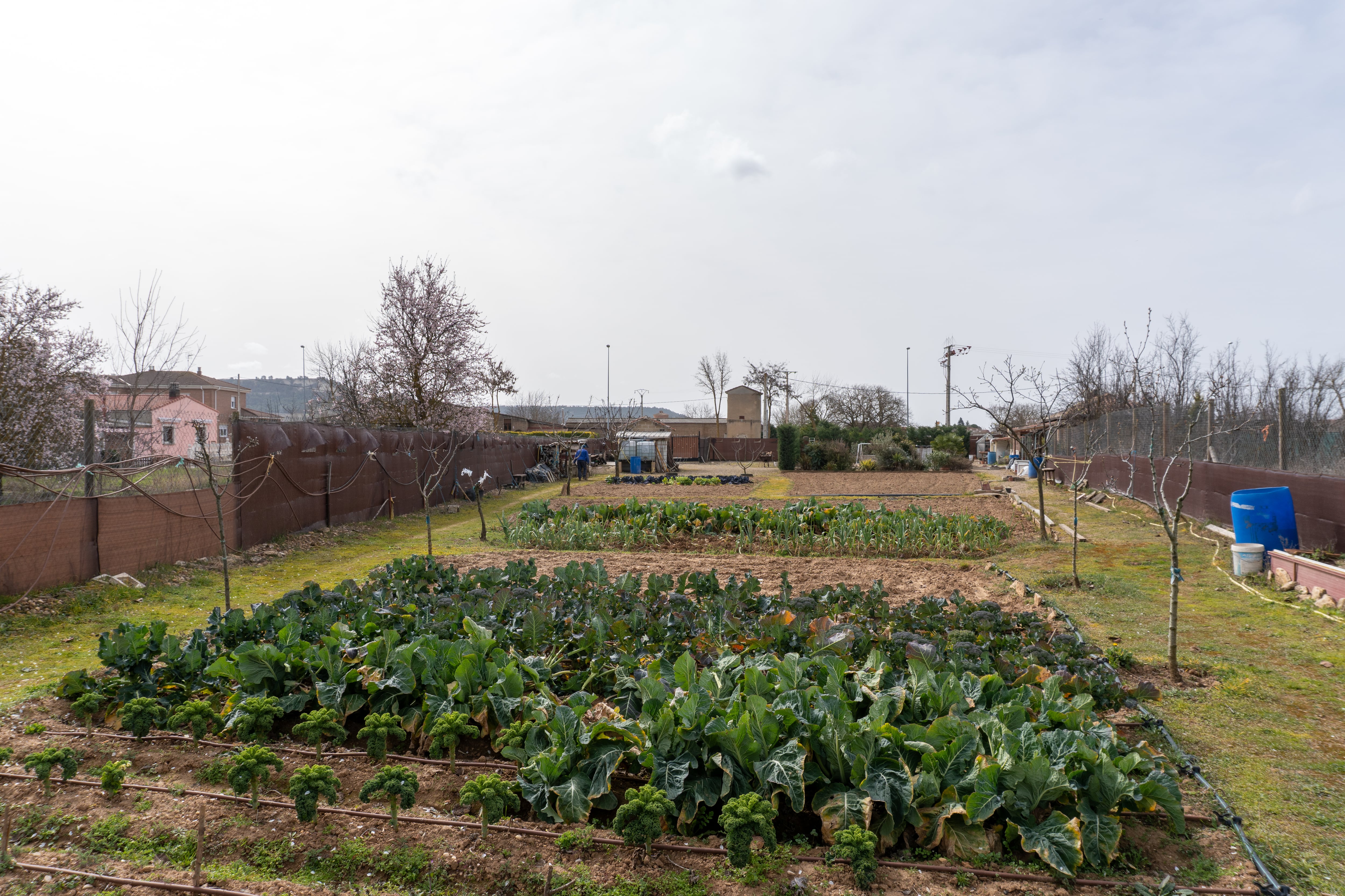 El proyecto palentino Raíces del Cerrato, ganador de Tierra de Oportunidades de CaixaBank