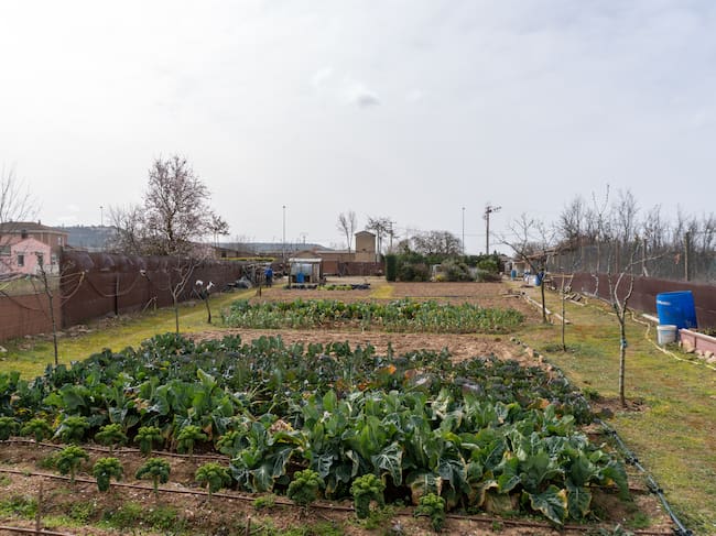 El proyecto palentino Raíces del Cerrato, ganador de Tierra de Oportunidades de CaixaBank