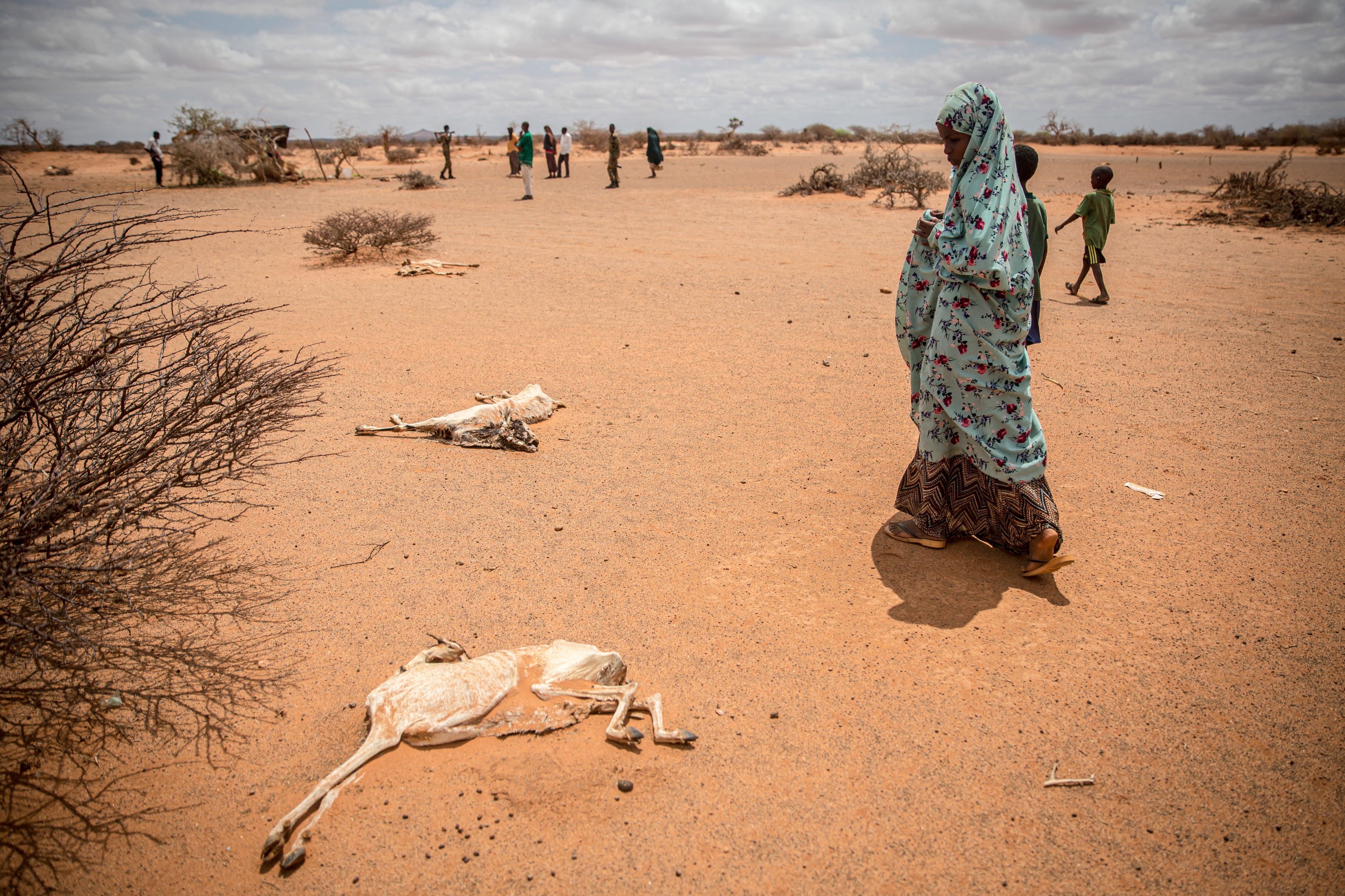 Una niña desplazada por la sequía se tapa la nariz mientras camina junto a los cadáveres en descomposición de cabras que murieron de hambre y sed en las afueras de Dollow, Somalia, el pasado mes de abril (Foto de Sally Hayden/SOPA Images/LightRocket vía Getty Images).